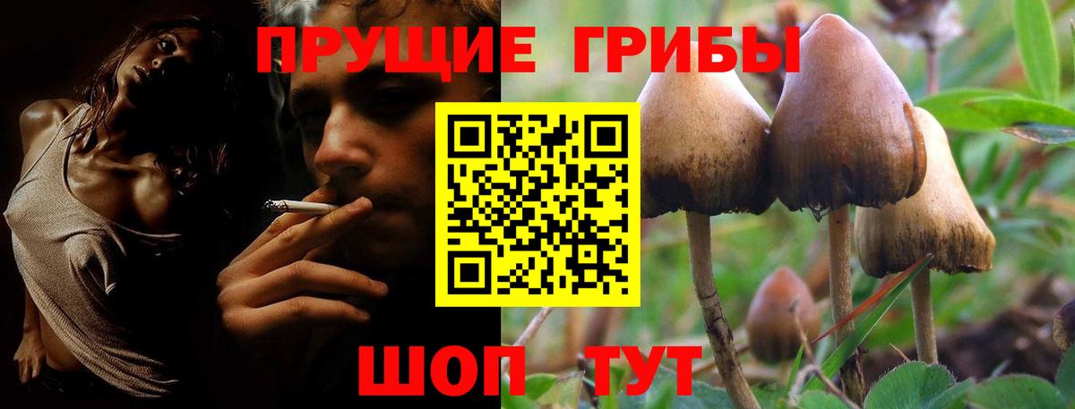 Псилоцибиновые грибы Psilocybine cubensis  Вход с VPN  Сертолово 